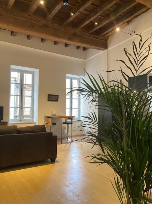Appartement Centre Historique Albi Exteriér fotografie